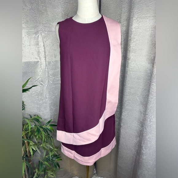 NEW Ted Baker London Braedyn Sleeveless Two-Tone Layered Dress Maroon Sz 0 - Picture 3 of 12